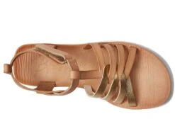 Blowfish Malibu -Blowfish Malibu 71kAeGbANCL