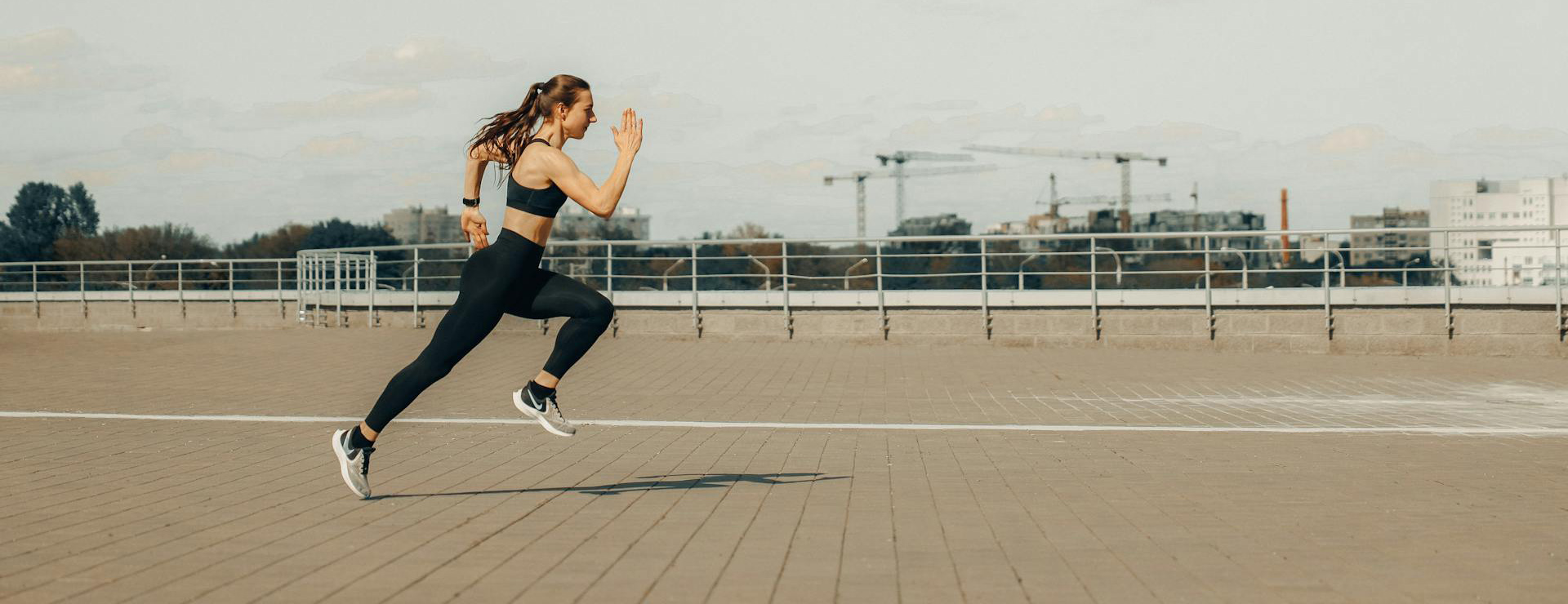 Blowfish Malibu -Blowfish Malibu pexels maksgelatin 4775192